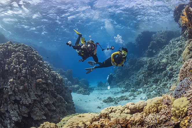 photo sous marine plongeurs et récif tropical fond bleu