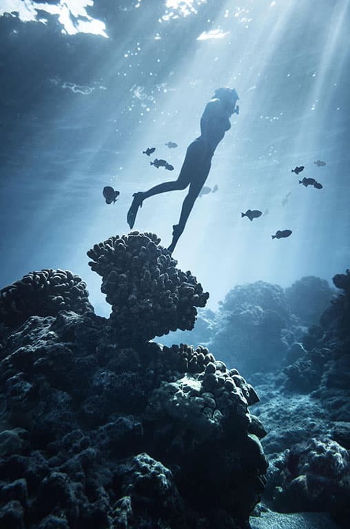 photo sous marine plongeuse nageant avec les poissons