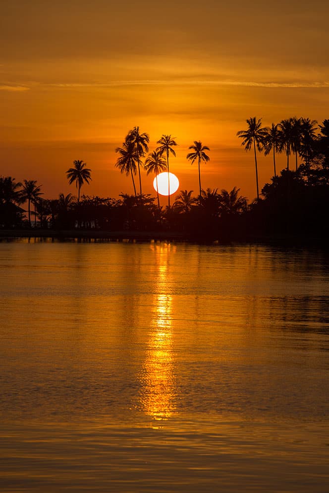 photographie coucher de soleil plage mer silhouette cocotier